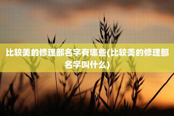比较美的修理部名字有哪些(比较美的修理部名字叫什么)