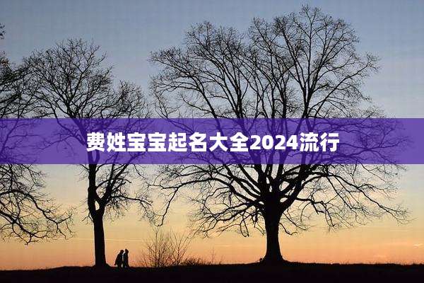 费姓宝宝起名大全2024流行