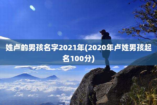 姓卢的男孩名字2021年(2020年卢姓男孩起名100分)