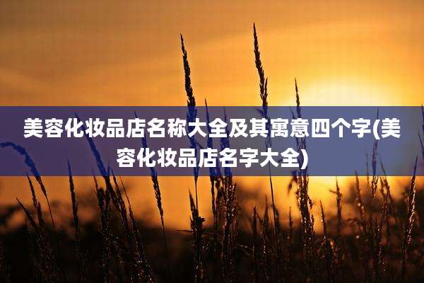 美容化妆品店名称大全及其寓意四个字(美容化妆品店名字大全)