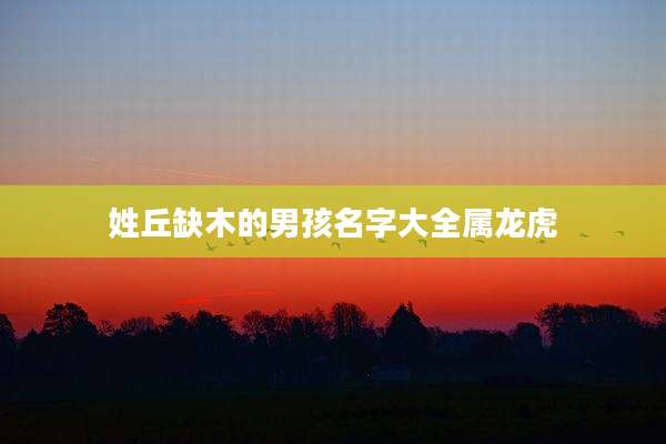姓丘缺木的男孩名字大全属龙虎