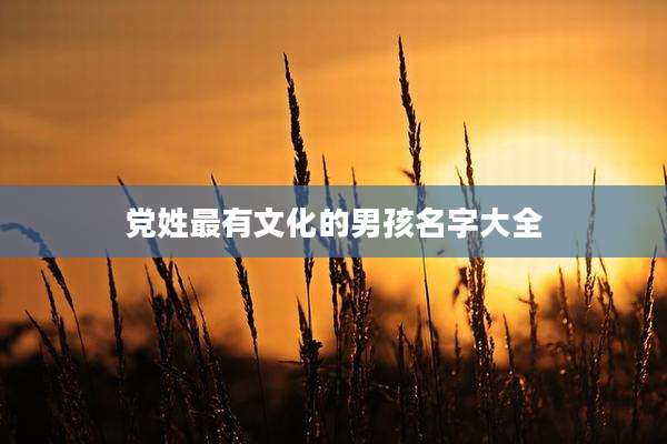 党姓最有文化的男孩名字大全