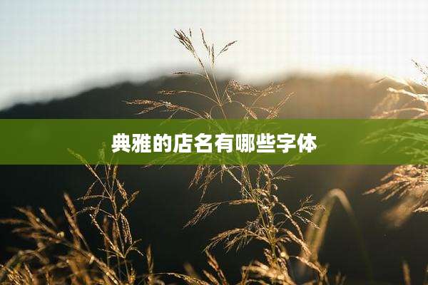 典雅的店名有哪些字体
