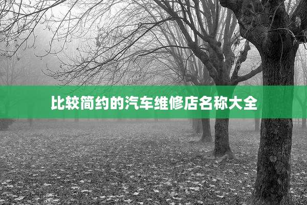 比较简约的汽车维修店名称大全