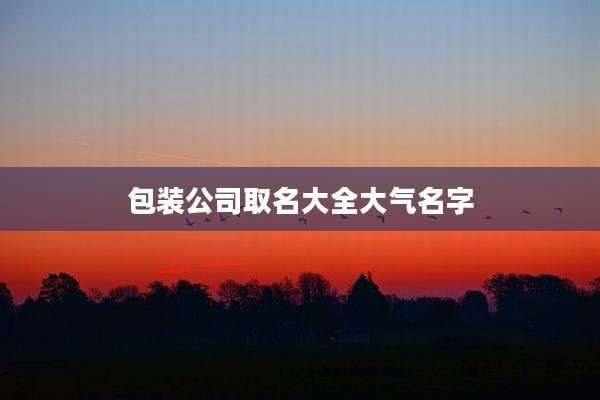 包装公司取名大全大气名字