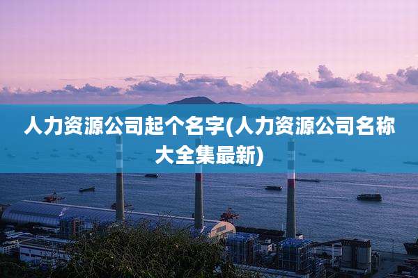 人力资源公司起个名字(人力资源公司名称大全集最新)