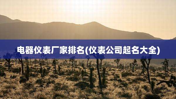 电器仪表厂家排名(仪表公司起名大全)