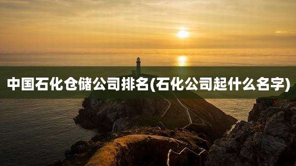 中国石化仓储公司排名(石化公司起什么名字)