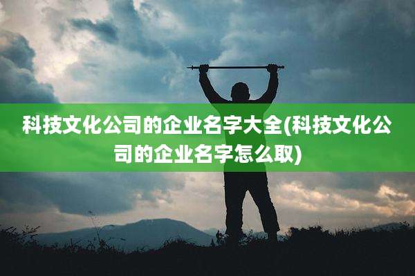 科技文化公司的企业名字大全(科技文化公司的企业名字怎么取)