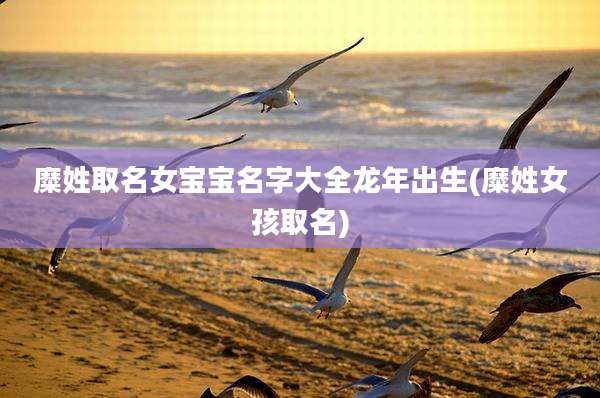 糜姓取名女宝宝名字大全龙年出生(糜姓女孩取名)