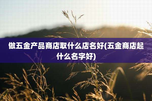 做五金产品商店取什么店名好(五金商店起什么名字好)