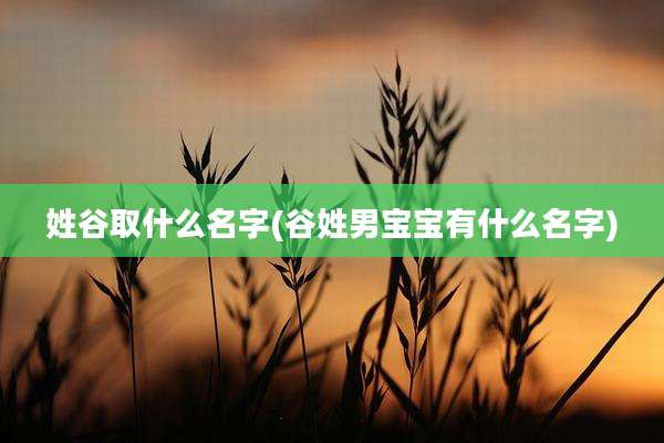 姓谷取什么名字(谷姓男宝宝有什么名字)