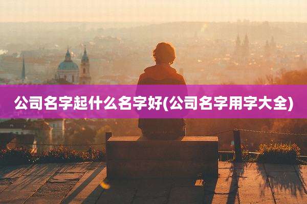 公司名字起什么名字好(公司名字用字大全)