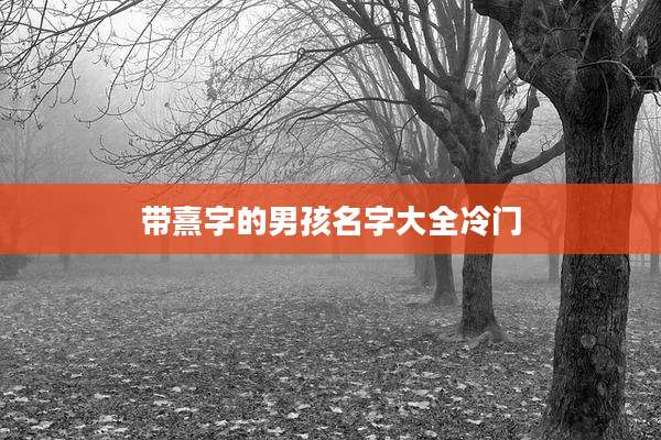 带熹字的男孩名字大全冷门