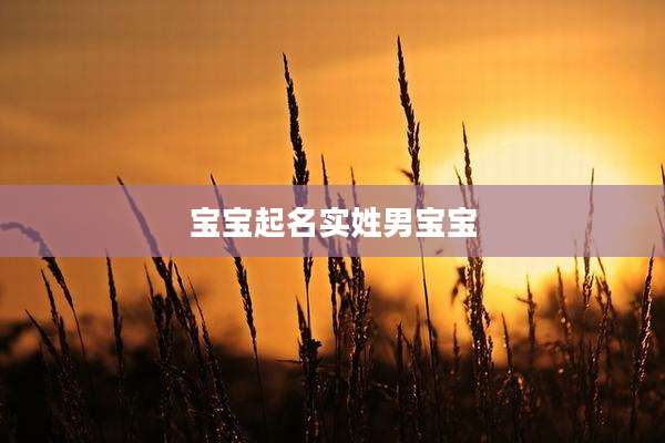 宝宝起名实姓男宝宝