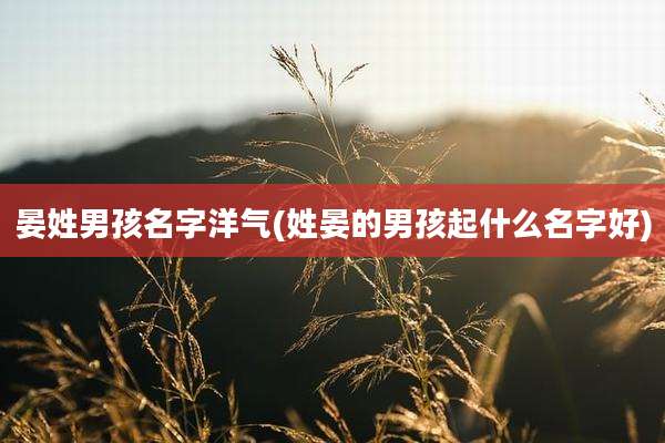 晏姓男孩名字洋气(姓晏的男孩起什么名字好)