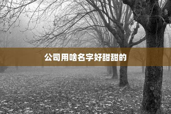 公司用啥名字好甜甜的