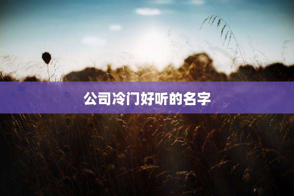 公司冷门好听的名字