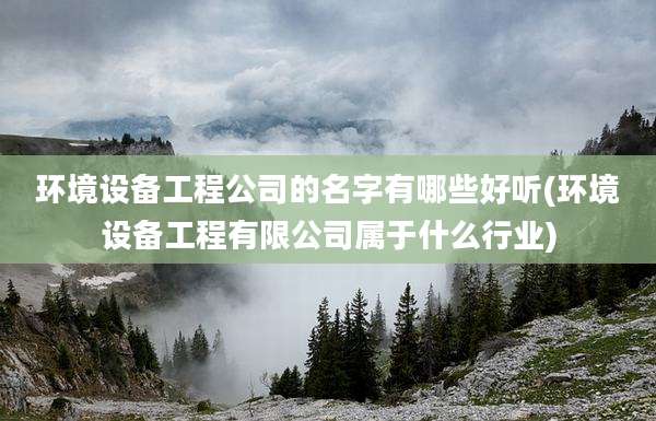环境设备工程公司的名字有哪些好听(环境设备工程有限公司属于什么行业)