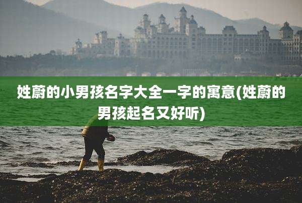 姓蔚的小男孩名字大全一字的寓意(姓蔚的男孩起名又好听)