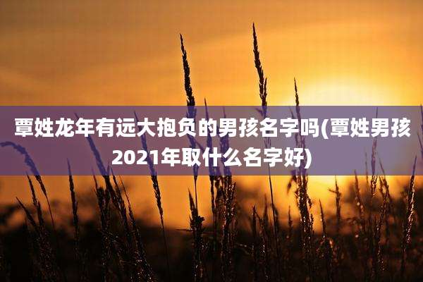 覃姓龙年有远大抱负的男孩名字吗(覃姓男孩2021年取什么名字好)