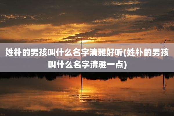 姓朴的男孩叫什么名字清雅好听(姓朴的男孩叫什么名字清雅一点)