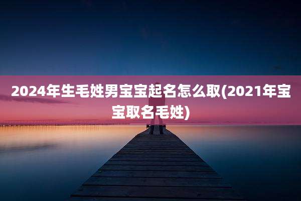 2024年生毛姓男宝宝起名怎么取(2021年宝宝取名毛姓)