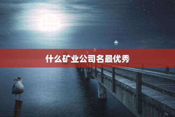什么矿业公司名最优秀