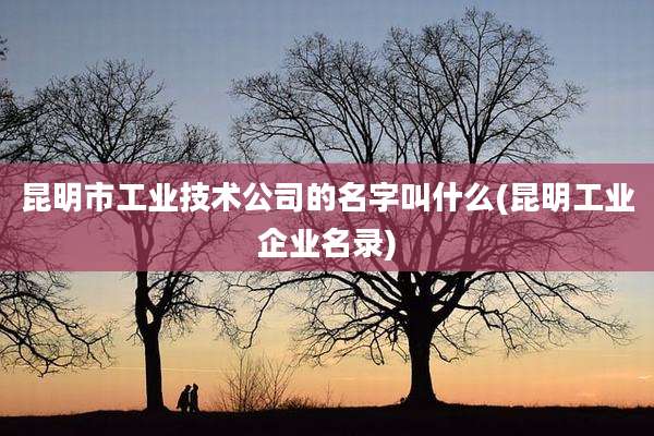 昆明市工业技术公司的名字叫什么(昆明工业企业名录)