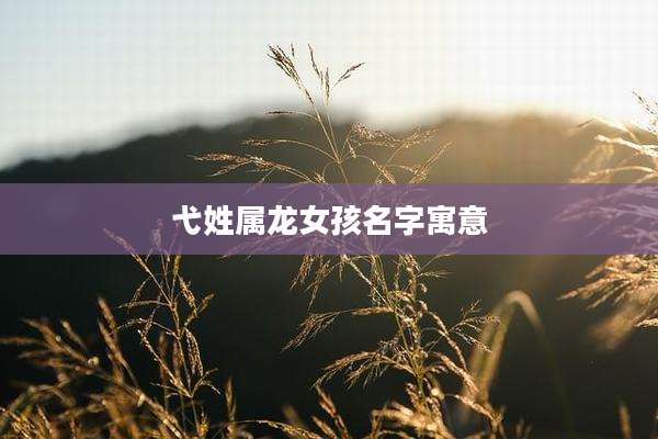 弋姓属龙女孩名字寓意