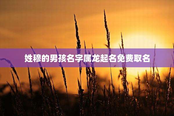 姓穆的男孩名字属龙起名免费取名