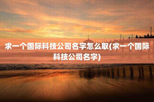 求一个国际科技公司名字怎么取(求一个国际科技公司名字)