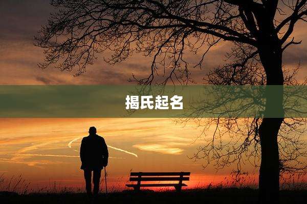 揭氏起名