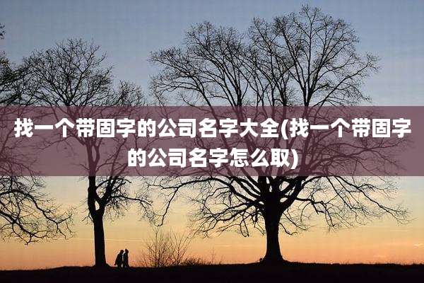 找一个带固字的公司名字大全(找一个带固字的公司名字怎么取)