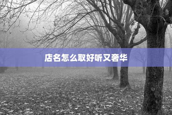 店名怎么取好听又奢华