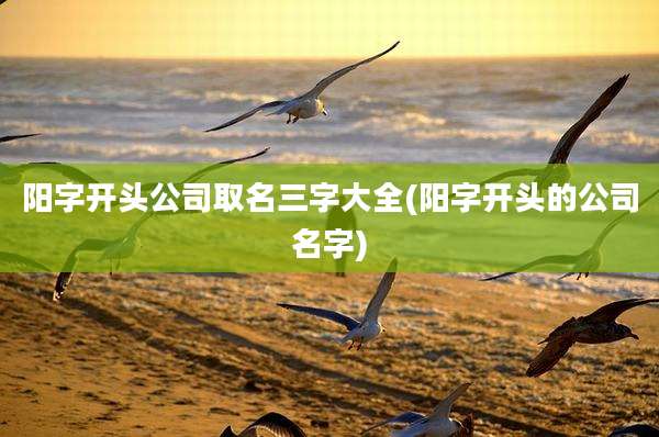 阳字开头公司取名三字大全(阳字开头的公司名字)