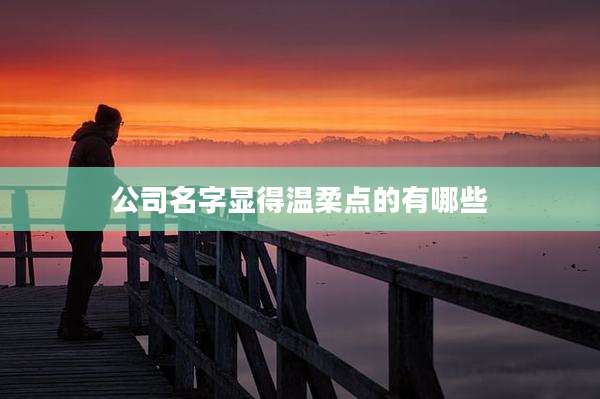 公司名字显得温柔点的有哪些
