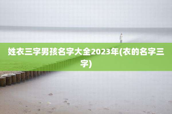 姓衣三字男孩名字大全2023年(衣的名字三字)