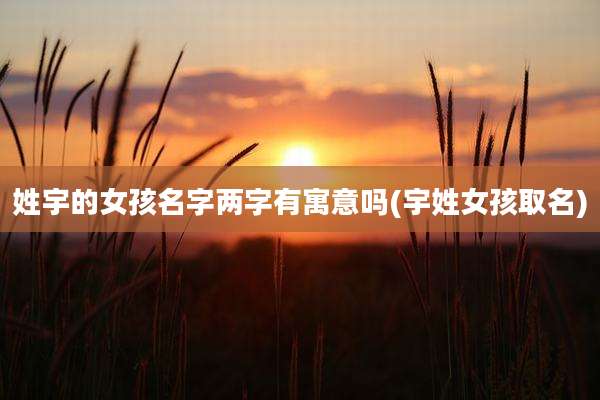 姓宇的女孩名字两字有寓意吗(宇姓女孩取名)