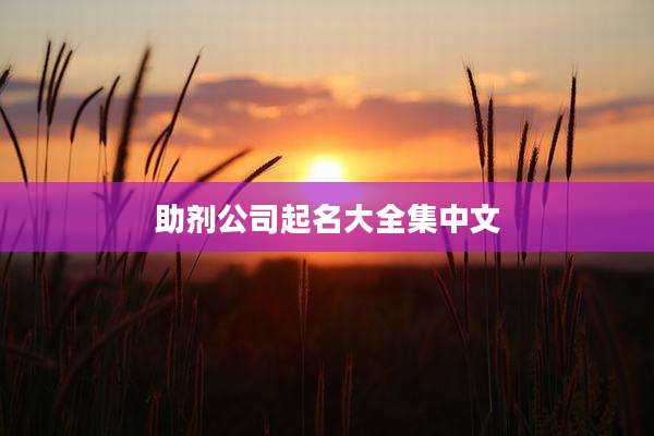 助剂公司起名大全集中文