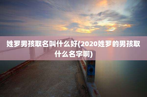 姓罗男孩取名叫什么好(2020姓罗的男孩取什么名字啊)