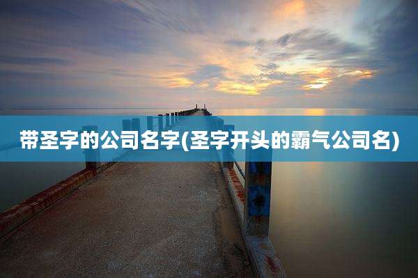 带圣字的公司名字(圣字开头的霸气公司名)