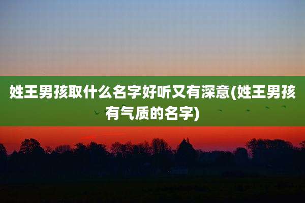 姓王男孩取什么名字好听又有深意(姓王男孩有气质的名字)