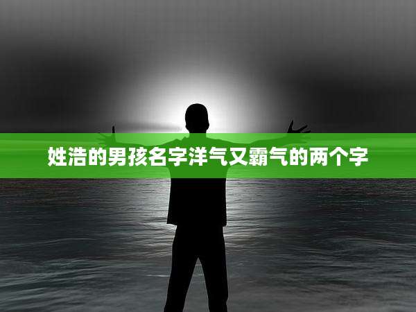 姓浩的男孩名字洋气又霸气的两个字