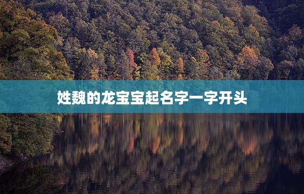 姓魏的龙宝宝起名字一字开头