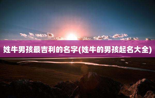 姓牛男孩最吉利的名字(姓牛的男孩起名大全)