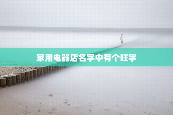 家用电器店名字中有个旺字