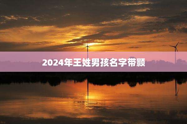 2024年王姓男孩名字带颢