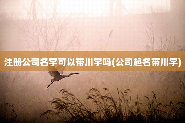 注册公司名字可以带川字吗(公司起名带川字)