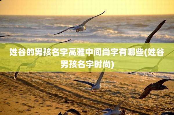 姓谷的男孩名字高雅中间尚字有哪些(姓谷男孩名字时尚)